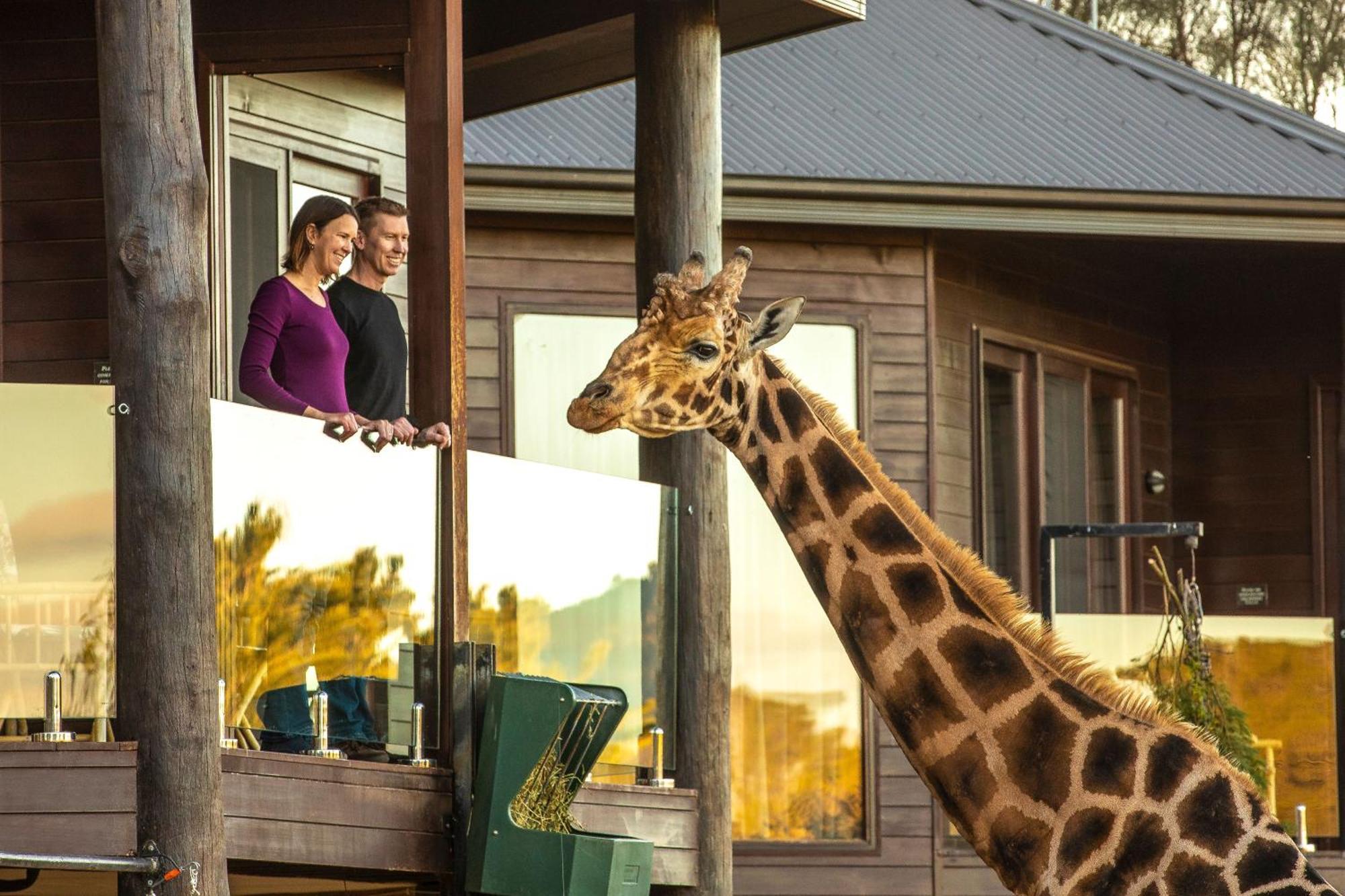 Jamala Wildlife Lodge Canberra Esterno foto